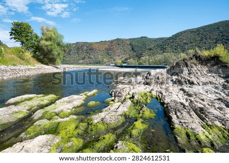 River with low water level, upper middle rhine valley near Kaub, Germany, dry riverbed due to extreme drought in Europe, impact freight transport and hinder shipping