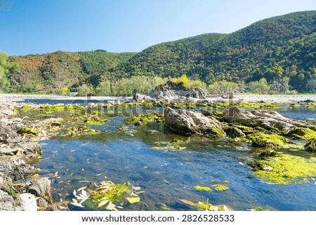 River with low water level, upper middle rhine valley near Kaub, Germany, dry riverbed due to extreme drought in Europe, impact freight transport and hinder shipping
