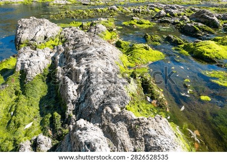 River with low water level, upper middle rhine valley near Kaub, Germany, dry riverbed due to extreme drought in Europe, impact freight transport and hinder shipping