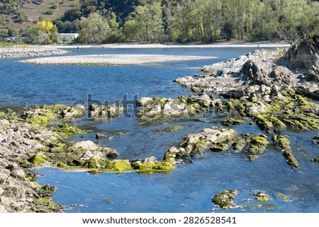 River with low water level, upper middle rhine valley near Kaub, Germany, dry riverbed due to extreme drought in Europe, impact freight transport and hinder shipping