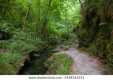 The River Lyd, Devon, England.