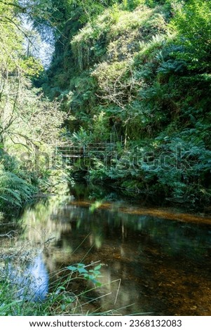 The river Lyd at Lyford Gorge in Devon