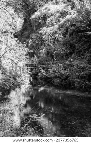 The river Lyd at Lyford Gorge in Devon