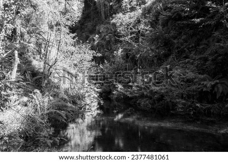 The river Lyd at Lyford Gorge in Devon