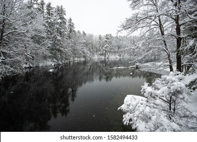 River In Maine Winter Trees Covered In Snow