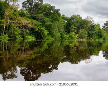 The Marañón River (Maranon) In Reservas Nacional Pacaya Samiria - Protected Area Located In The Region Of Loreto, Peru, Amazonia, South America.