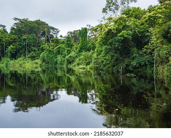 The Marañón River (Maranon) In Reservas Nacional Pacaya Samiria - Protected Area Located In The Region Of Loreto, Peru, Amazonia, South America.