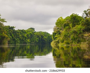 The Marañón River (Maranon) In Reservas Nacional Pacaya Samiria - Protected Area Located In The Region Of Loreto, Peru, Amazonia, South America.