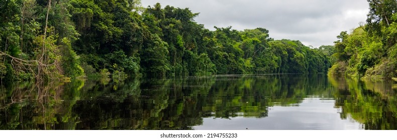 The Marañón River (Maranon) In Reservas Nacional Pacaya Samiria - Protected Area Located In The Region Of Loreto, Peru, Amazonia, South America.