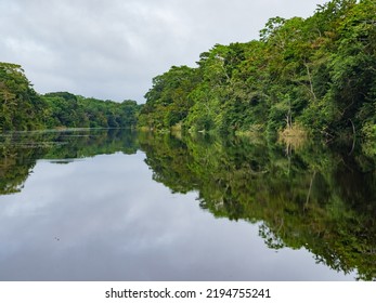 The Marañón River (Maranon) In Reservas Nacional Pacaya Samiria - Protected Area Located In The Region Of Loreto, Peru, Amazonia, South America.