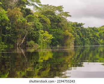 The Marañón River (Maranon) In Reservas Nacional Pacaya Samiria - Protected Area Located In The Region Of Loreto, Peru, Amazonia, South America.