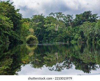 The Marañón River (Maranon) In Reservas Nacional Pacaya Samiria - Protected Area Located In The Region Of Loreto, Peru, Amazonia, South America.