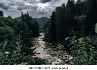 A river meanders through the valley, surrounded by dense green forest. The water flows gently under the overcast sky, creating a calm and serene atmosphere. - Powered by Shutterstock