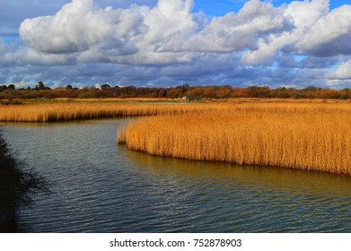 River Meon At Titchfield Haven Nature Reserve 