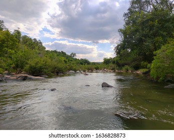 river in middle of a forest under cloudy sky