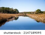 River in the middle of a grassy marsh 