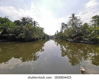 A River In The Middle Of A Luscious Forest.