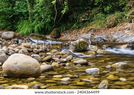 River Miera, wet stones at it, damp shore, and surrounding greenery. Liérganes, Cantabria, Spain.