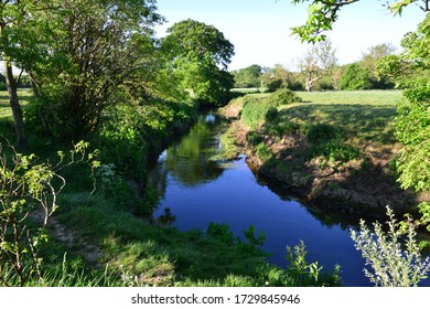 3,201 Moles river Images, Stock Photos & Vectors | Shutterstock