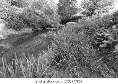 The River Mole In May In Horley In Surrey.