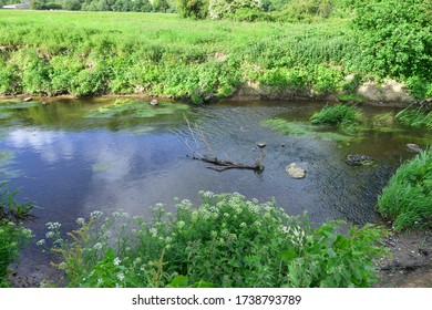 The River Mole In May In Horley In Surrey.