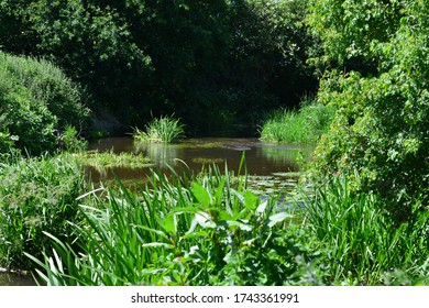 The River Mole In May In Horley In Surrey.