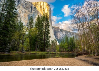 River in a mountain canyon. River canyon in mountain forest. River in mountain forest. Mountain river landscape