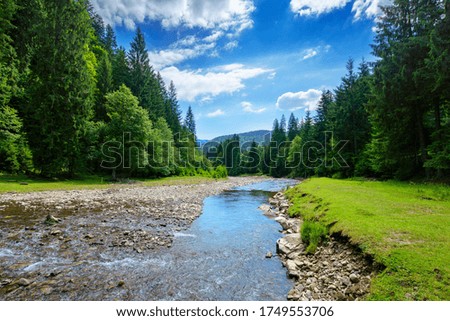 river in the mountain landscape. beautiful nature scenery with water flow among the forest. sunny day with fluffy clouds on the sky