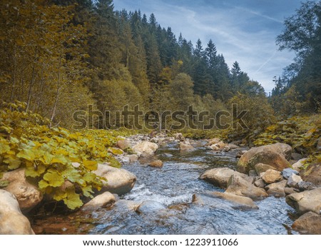 River in mountains with rocks, yellow grass on riverside. Autumn mountains landscape, sky, clouds. Idea for outdoor activities, travel .