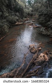 River In Iguazú National Park.            