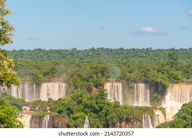 Iguaçu River National Park In Brazil. View Of The Iguazu Falls On The Brazilian Side. Echologic Park. Ecotourism. World Wonders. Fauna And Flora. Ecological Reserve.