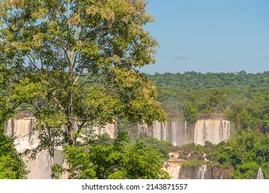 Iguaçu River National Park In Brazil. View Of The Iguazu Falls On The Brazilian Side. Echologic Park. Ecotourism. World Wonders. Fauna And Flora. Ecological Reserve.