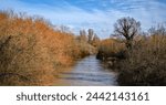 The River Nene in Ferry Meadows Country Park, Peterborough, Cambridgeshire, England.
