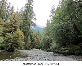 River in Olympic National Park, Washington - Powered by Shutterstock