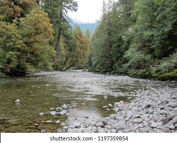 River in Olympic National Park, Washington - Powered by Shutterstock