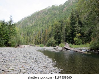 River in Olympic National Park, Washington - Powered by Shutterstock