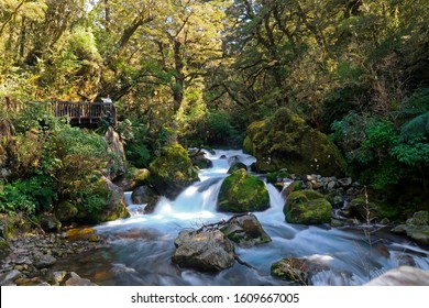 River On The Chasm Walk In New Zealand On The Way To Milford Sound