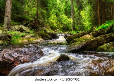 River In The Ore Mountains