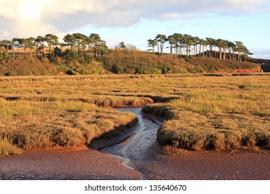 River Otter, Devon