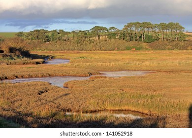 River Otter, Devon