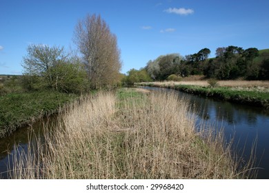 River Otter, Devon