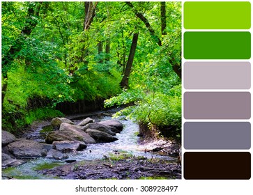 River over forest grove and palette of colors