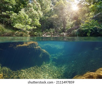 River over and under water surface with green vegetation, split level view, Spain, Galicia, Pontevedra province, Tamuxe river - Shutterstock ID 2111497859