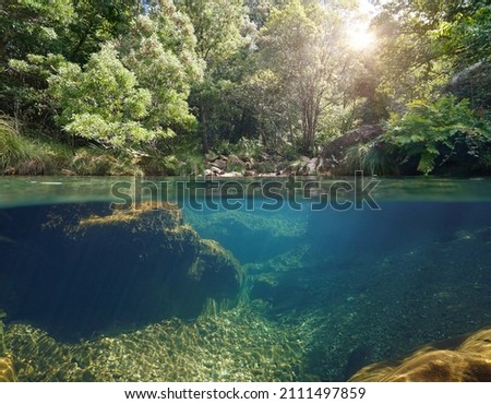 River over and under water surface with green vegetation, split level view, Spain, Galicia, Pontevedra province, Tamuxe river