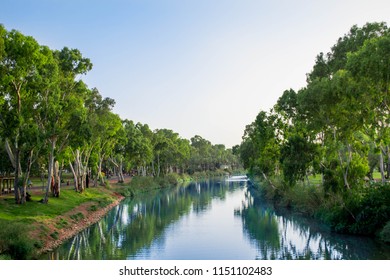 River in the park