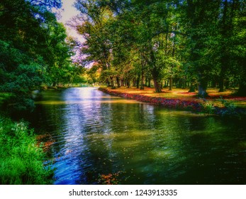 River in the park