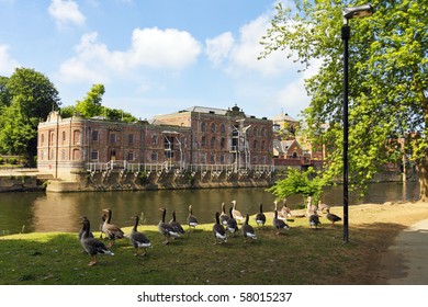 River Park In York, UK