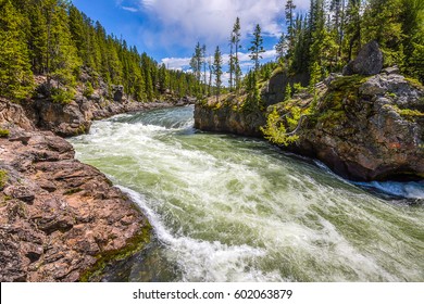 River Rapid Stream Flow In Forest Mountains