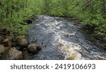 A river with rapids flowing in the wake of a wild forest. Republic of Karelia. Russia.