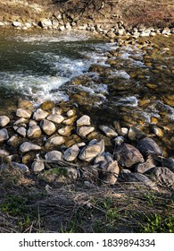 River rapids and rocks in forest